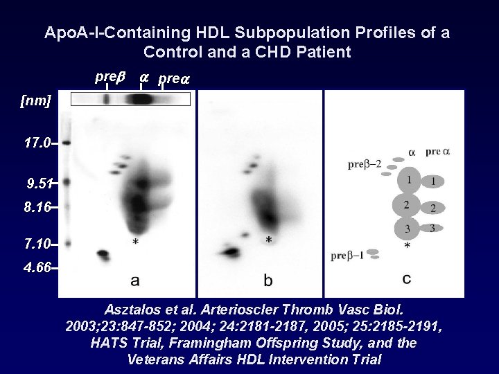 Apo. A-I-Containing HDL Subpopulation Profiles of a Control and a CHD Patient pre [nm]