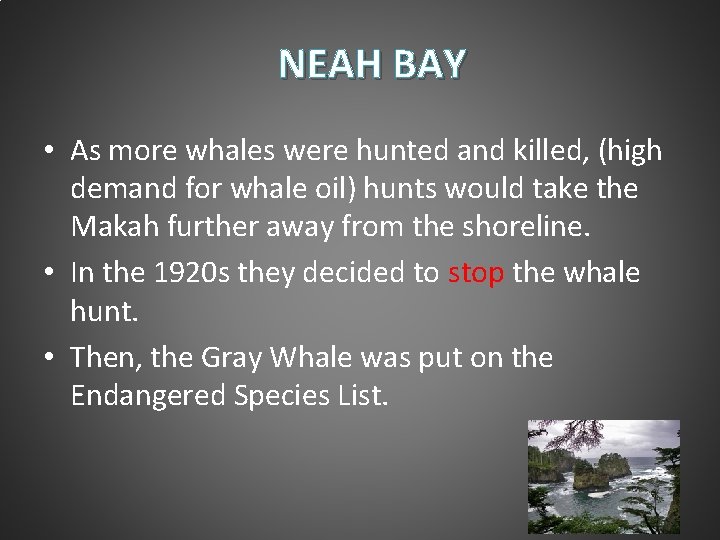 NEAH BAY • As more whales were hunted and killed, (high demand for whale