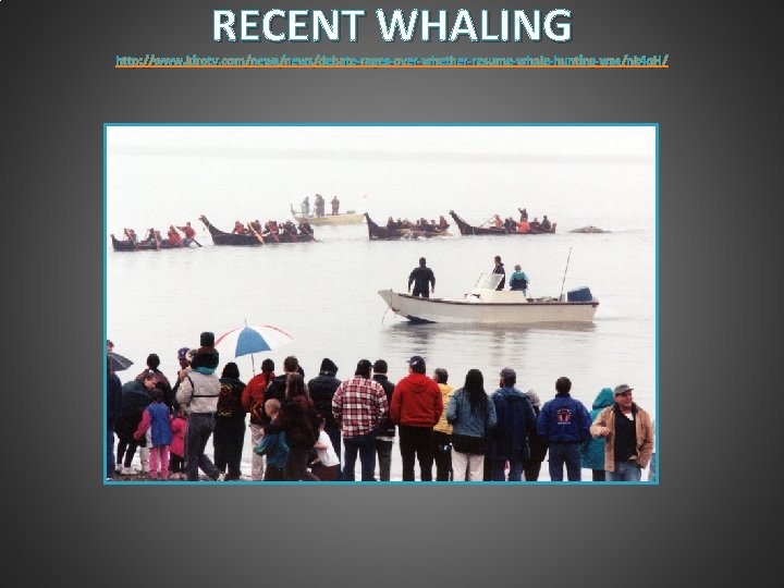 RECENT WHALING http: //www. kirotv. com/news/debate-rages-over-whether-resume-whale-hunting-was/nk 4 q. H/ 