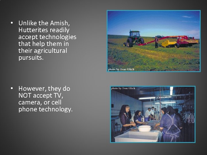  • Unlike the Amish, Hutterites readily accept technologies that help them in their