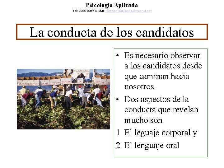 Psicología Aplicada Tel: 9985 -8357 E-Mail psicologiaaplicada@sulanet. net La conducta de los candidatos •