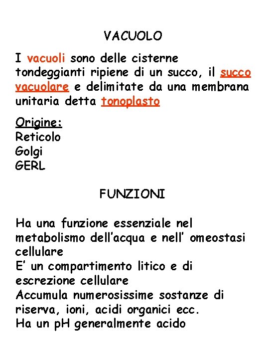 VACUOLO I vacuoli sono delle cisterne tondeggianti ripiene di un succo, il succo vacuolare