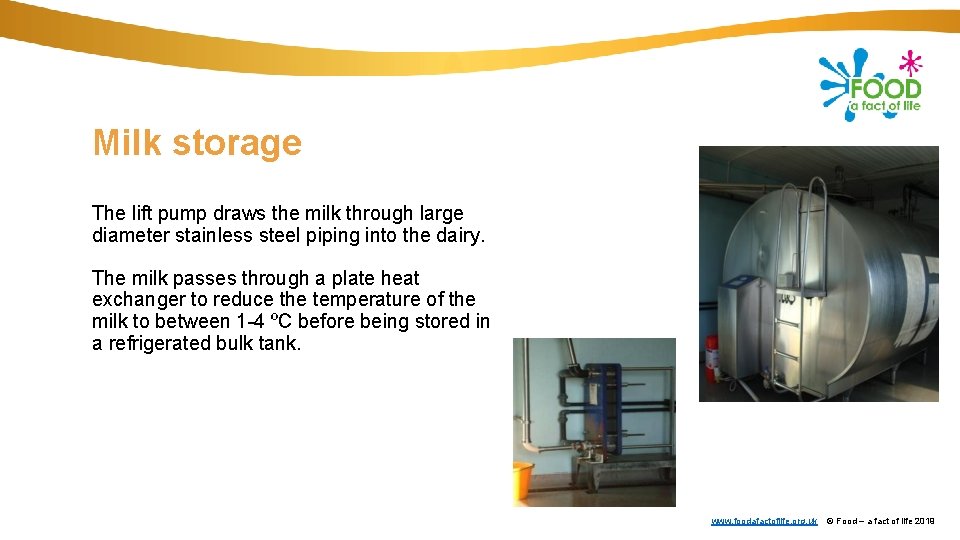 Milk storage The lift pump draws the milk through large diameter stainless steel piping