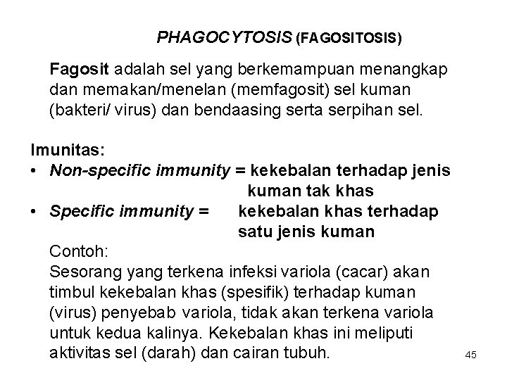 PHAGOCYTOSIS (FAGOSITOSIS) Fagosit adalah sel yang berkemampuan menangkap dan memakan/menelan (memfagosit) sel kuman (bakteri/