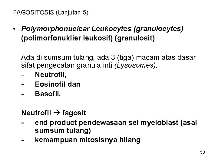 FAGOSITOSIS (Lanjutan-5) • Polymorphonuclear Leukocytes (granulocytes) (polimorfonuklier leukosit) (granulosit) Ada di sumsum tulang, ada