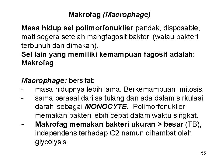 Makrofag (Macrophage) Masa hidup sel polimorfonuklier pendek, disposable, mati segera setelah mangfagosit bakteri (walau