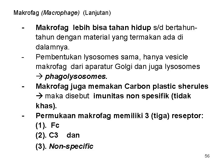 Makrofag (Macrophage) (Lanjutan) - - Makrofag lebih bisa tahan hidup s/d bertahun dengan material