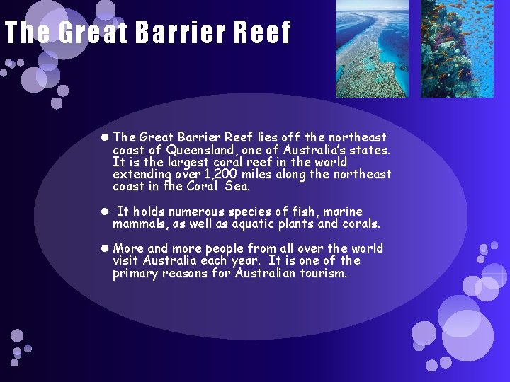 The Great Barrier Reef lies off the northeast coast of Queensland, one of Australia’s