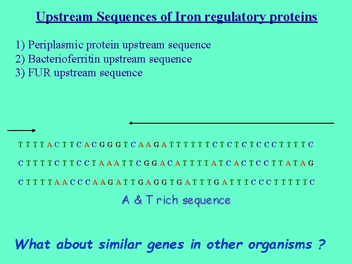 Upstream Sequences of Iron regulatory proteins 1) Periplasmic protein upstream sequence 2) Bacterioferritin upstream