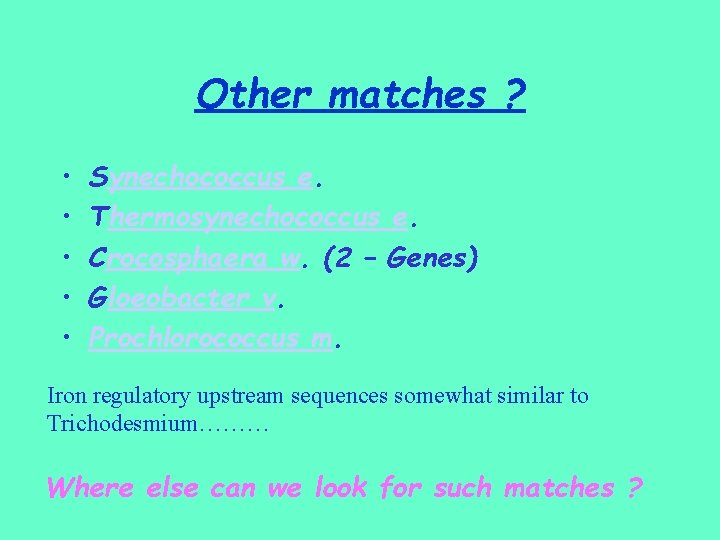 Other matches ? • • • Synechococcus e. Thermosynechococcus e. Crocosphaera w. (2 –