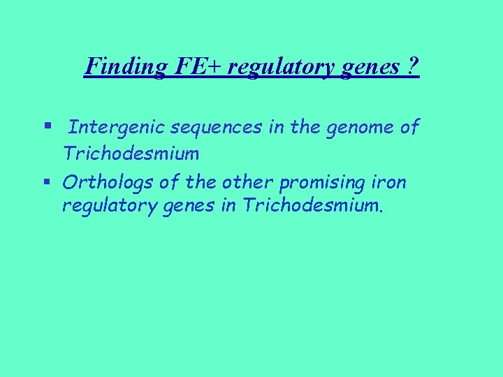 Finding FE+ regulatory genes ? § Intergenic sequences in the genome of Trichodesmium §