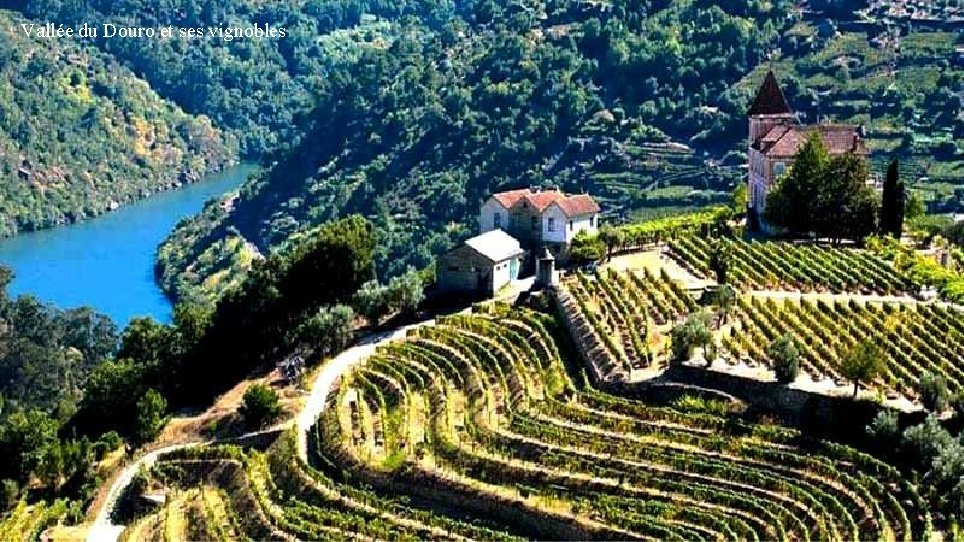 Vallée du Douro et ses vignobles 