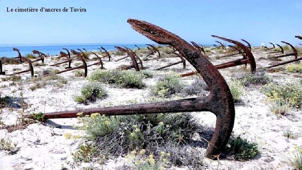 Le cimetière d’ancres de Tavira 