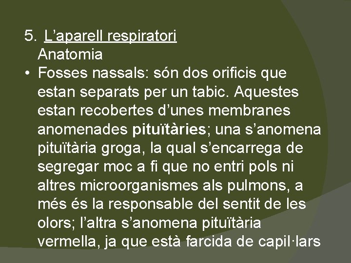 5. L’aparell respiratori Anatomia • Fosses nassals: són dos orificis que estan separats per