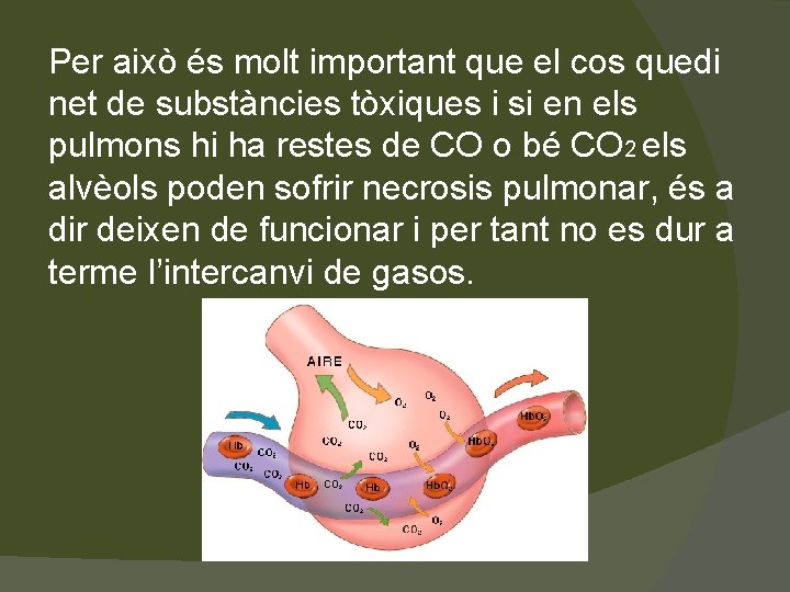 Per això és molt important que el cos quedi net de substàncies tòxiques i