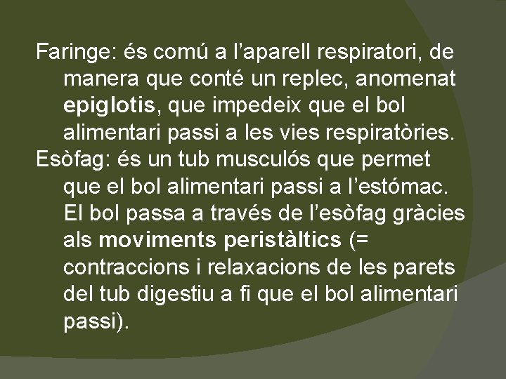 Faringe: és comú a l’aparell respiratori, de manera que conté un replec, anomenat epiglotis,