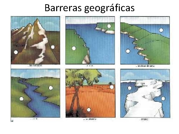 Barreras geográficas 
