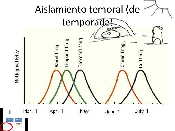 Aislamiento temoral (de temporada) 