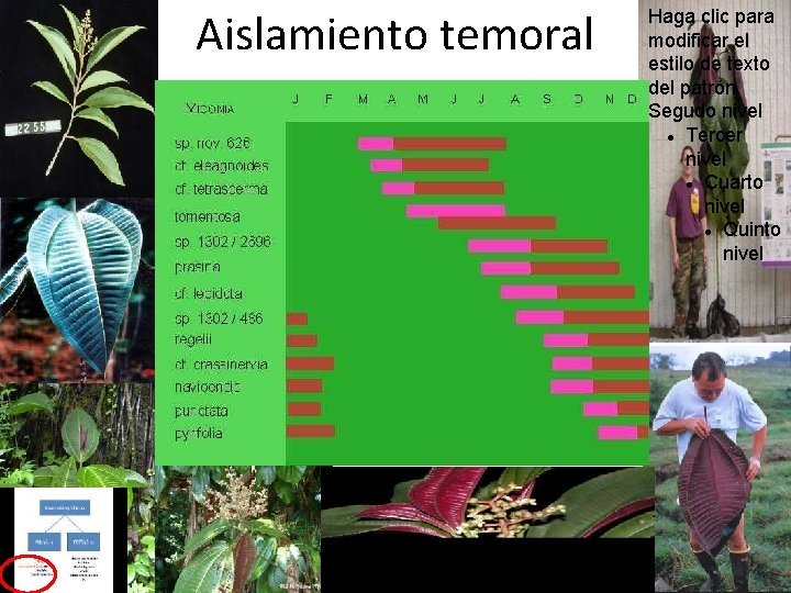 Aislamiento temoral Haga clic para modificar el estilo de texto del patrón Segudo nivel