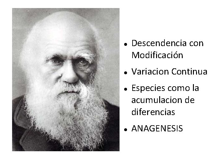  Descendencia con Modificación Variacion Continua Especies como la acumulacion de diferencias ANAGENESIS 