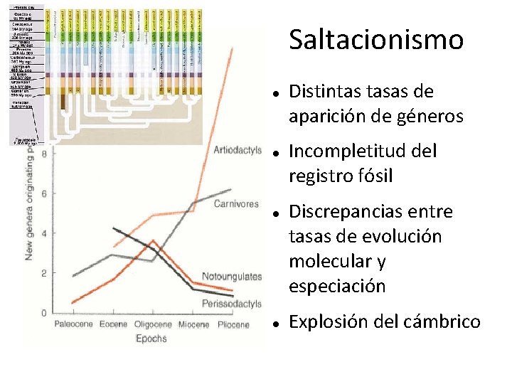 Saltacionismo Distintas tasas de aparición de géneros Incompletitud del registro fósil Discrepancias entre tasas