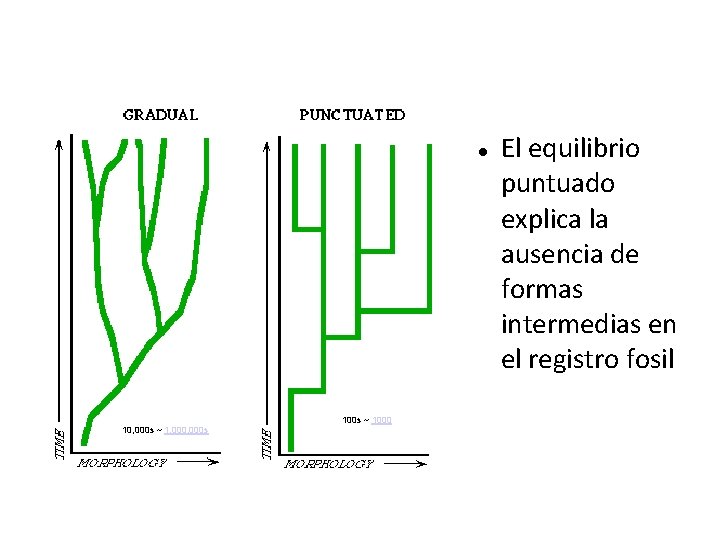  10, 000 s ~ 1, 000 s 100 s ~ 1000 El equilibrio