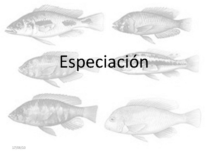 Especiación 17/08/10 