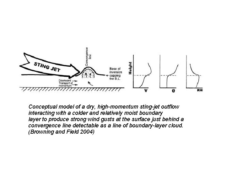 Conceptual model of a dry, high-momentum sting-jet outflow interacting with a colder and relatively
