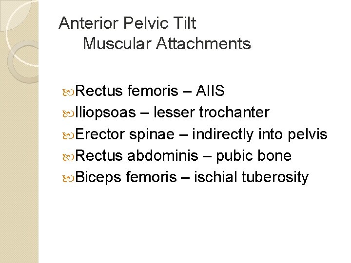 Anterior Pelvic Tilt Muscular Attachments Rectus femoris – AIIS Iliopsoas – lesser trochanter Erector