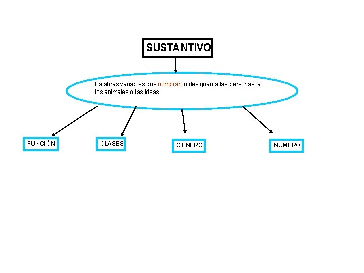 SUSTANTIVO Palabras variables que nombran o designan a las personas, a los animales o