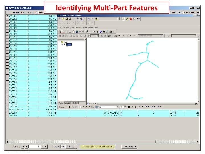 Identifying Multi-Part Features Identifying Multi-Part Features