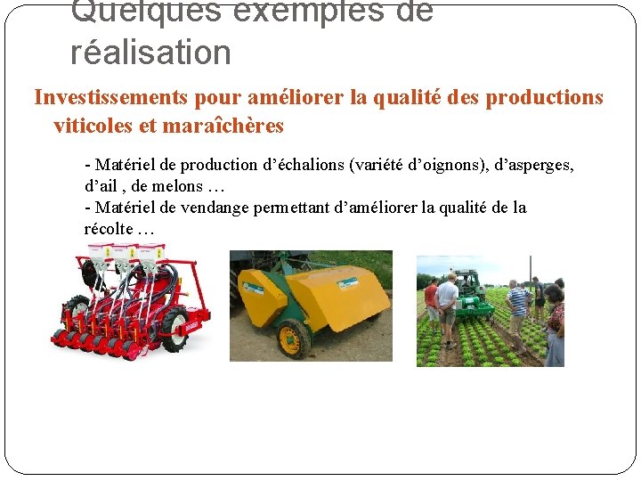 Quelques exemples de réalisation Investissements pour améliorer la qualité des productions viticoles et maraîchères