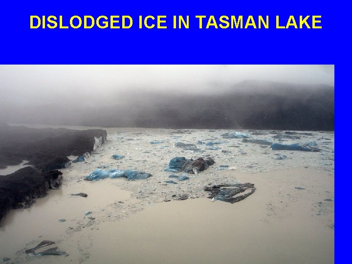 DISLODGED ICE IN TASMAN LAKE 