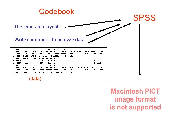 Codebook Describe data layout Write commands to analyze data 3001101 1999503 1 3001102122322288181818 11299999911111199999911111999993311182818