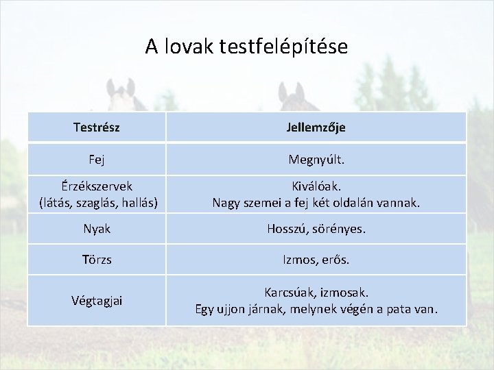 A lovak testfelépítése Testrész Jellemzője Fej Megnyúlt. Érzékszervek (látás, szaglás, hallás) Kiválóak. Nagy szemei