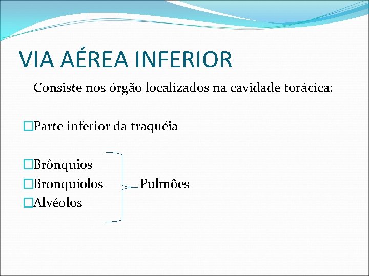 VIA AÉREA INFERIOR Consiste nos órgão localizados na cavidade torácica: �Parte inferior da traquéia