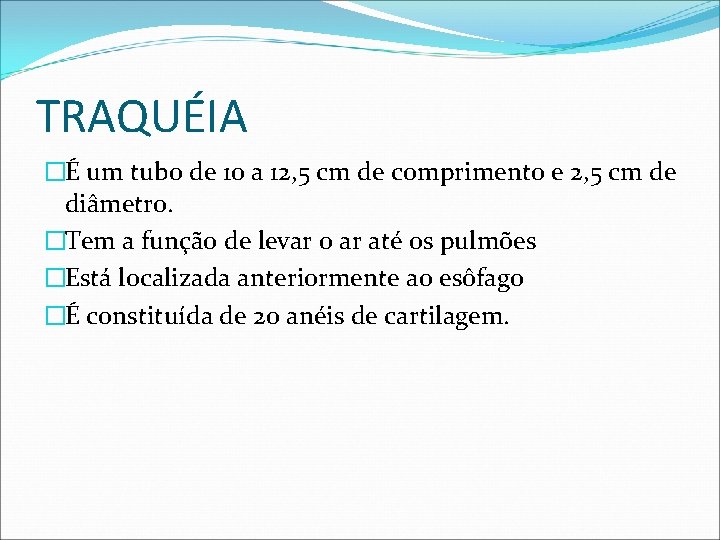 TRAQUÉIA �É um tubo de 10 a 12, 5 cm de comprimento e 2,