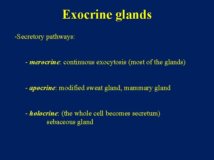Exocrine glands -Secretory pathways: - merocrine: continuous exocytosis (most of the glands) - apocrine: