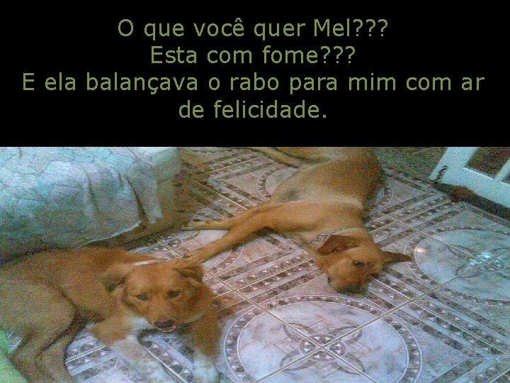 O que você quer Mel? ? ? Esta com fome? ? ? E ela