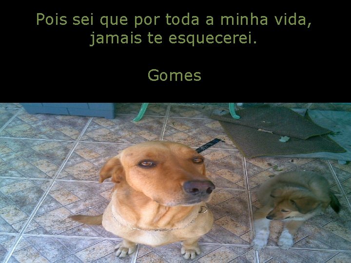 Pois sei que por toda a minha vida, jamais te esquecerei. Gomes 