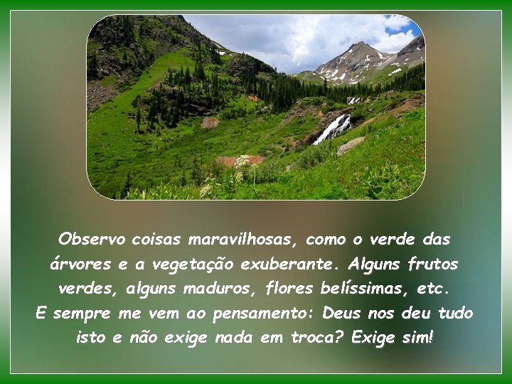 Observo coisas maravilhosas, como o verde das árvores e a vegetação exuberante. Alguns frutos