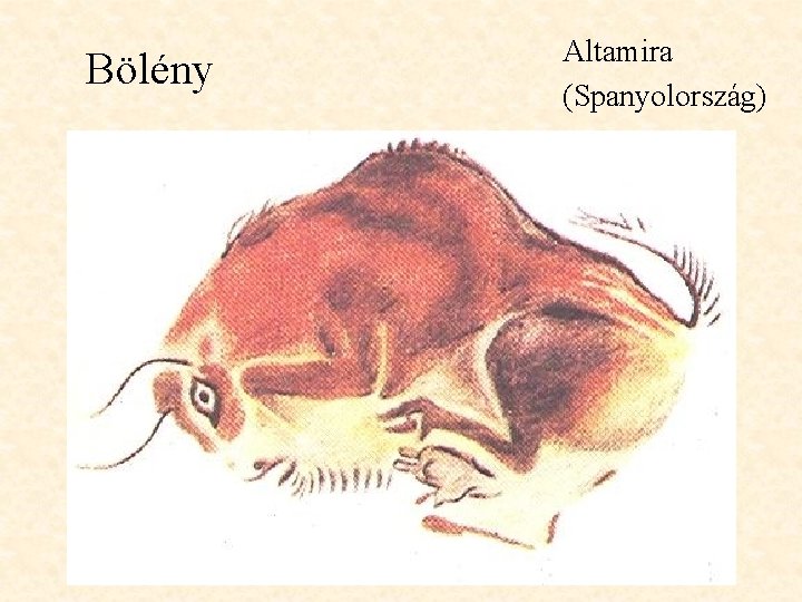 Bölény Altamira (Spanyolország) 