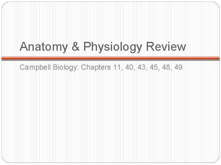 Anatomy & Physiology Review Campbell Biology: Chapters 11, 40, 43, 45, 48, 49 