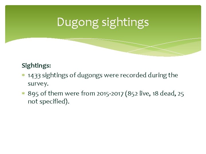 Dugong sightings Sightings: 1433 sightings of dugongs were recorded during the survey. 895 of