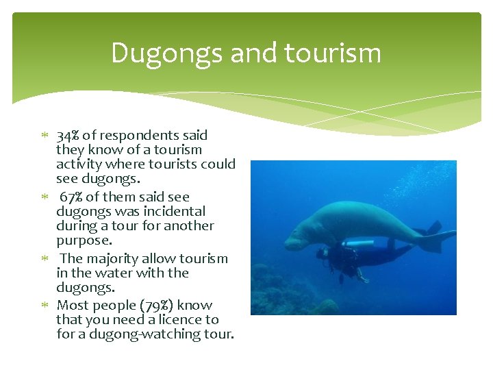 Dugongs and tourism 34% of respondents said they know of a tourism activity where