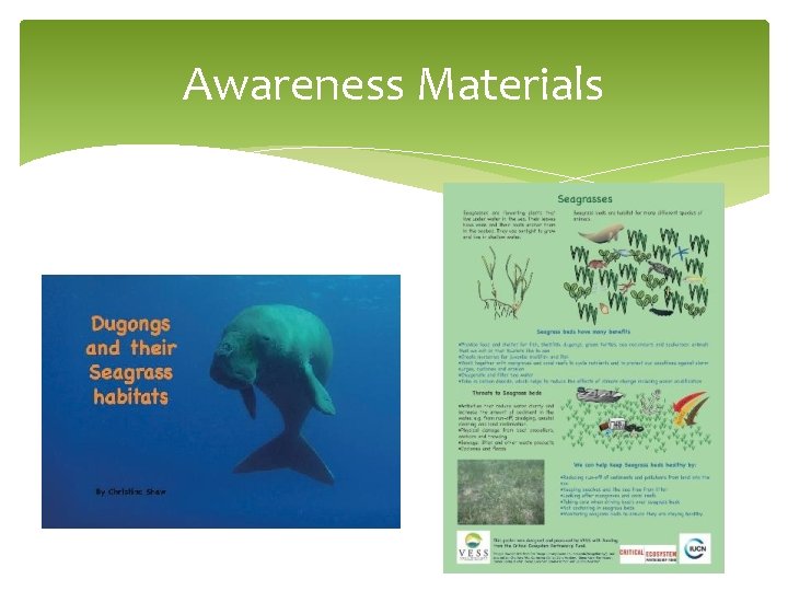 Awareness Materials 