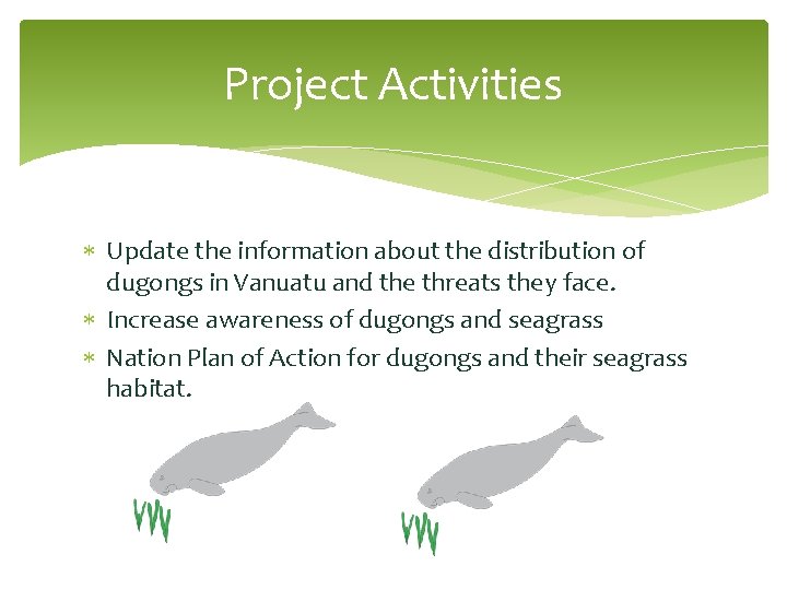 Project Activities Update the information about the distribution of dugongs in Vanuatu and the
