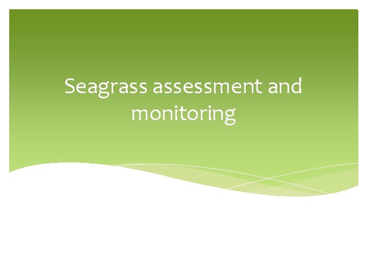 Seagrass assessment and monitoring 