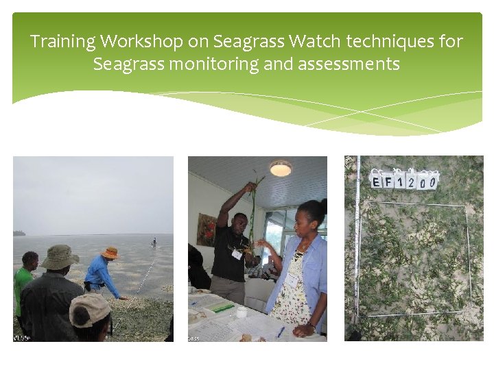 Training Workshop on Seagrass Watch techniques for Seagrass monitoring and assessments 