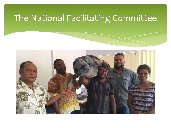 The National Facilitating Committee 